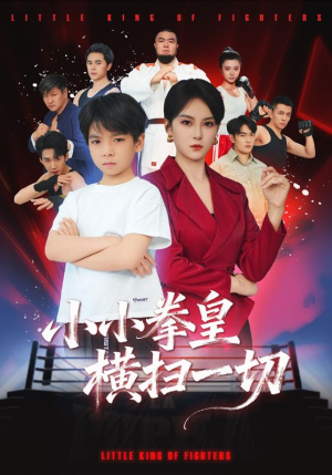 小小拳皇横扫一切（60集）不用花钱看全剧的短剧平台