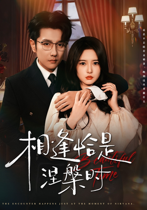 相逢恰是涅槃时（63集）短剧全集幕后花絮版