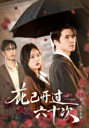 情敌交手她选择躺赢（72集）好看又上头的热播短剧