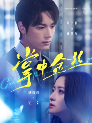 掌中金丝（60集）热门短剧排行榜