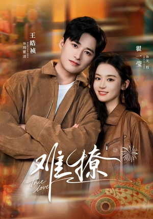 难撩（100集）短剧大结局超前点映