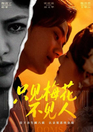 只见梅花不见人（63集）超火短剧抢先看全集太好看了