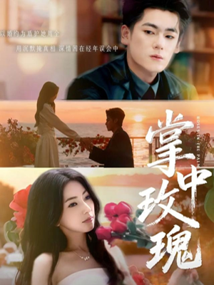 掌中玫瑰（60集）热播短剧持续更新