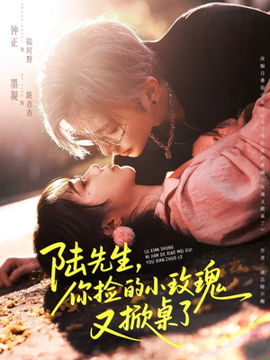 陆先生，你捡的小玫瑰又掀桌了（74集）新剧来袭热门短剧推荐