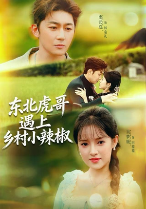 东北虎哥遇上乡村小辣椒（67集）短剧在哪个平台看好