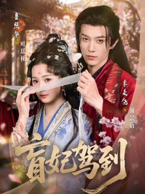 盲妃驾到（65集）短剧演员排行榜