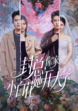 大佬你的牙粘口红了（60集）热播短剧推荐点击抢先观看