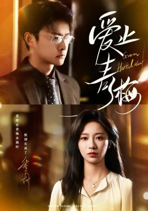 爱止青梅（60集） 穿越题材短剧免费看