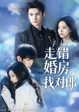 走错婚房找对郎（50集） 好看又上头的短剧太解气了