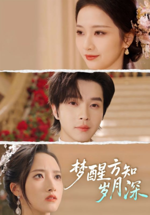 梦醒方知岁月深（80集）短剧在哪个平台