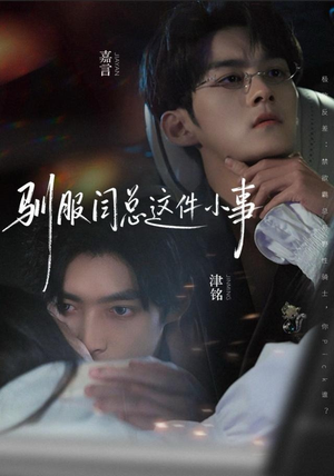 驯服闫总这件小事（58集）排行榜前十短剧