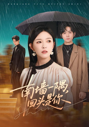 南墙一隅，回头是你（61集）红果免费短剧