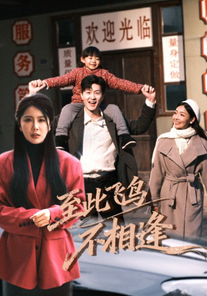 至此飞鸟不相逢（70集）每日更新热门短剧