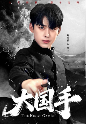 大国手（76集）精彩短剧天天看超级热播短剧