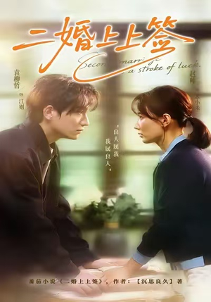 二婚上上签（71集）一毛不花追完短剧的平台精选
