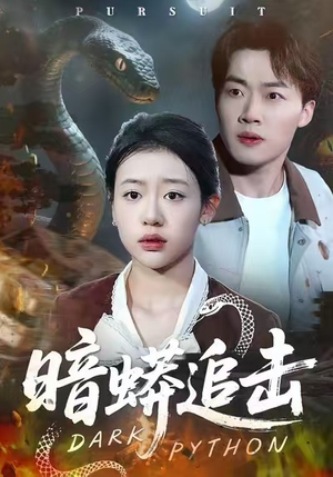 暗蟒追击（35集）精彩的网络短剧