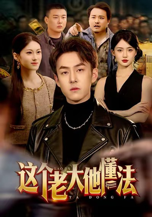 这个老大他懂法（100集）都市生活短剧免费在线观看