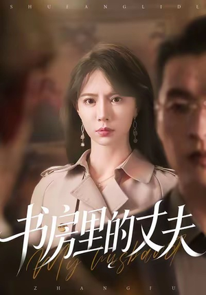 书房里的丈夫（100集）短剧解说推荐好剧