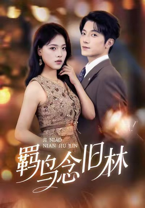 羁鸟念旧林（60集）免费观看精彩短剧