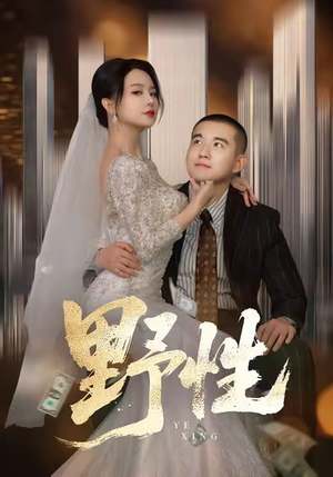 分手后，顶头上司要嫁我（70集）万里归乡短剧精彩剧情