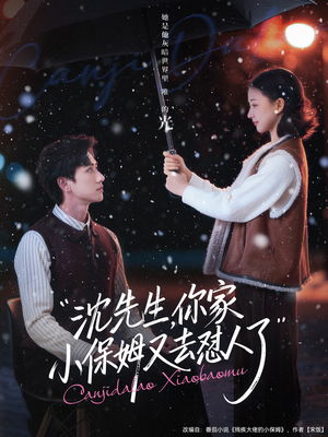 沈先生，你家小保姆又去怼人了（82集）红果短剧看全集