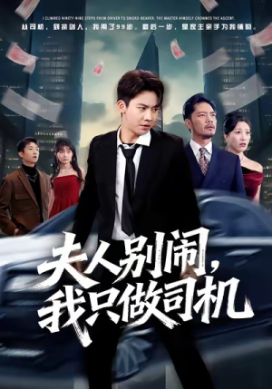 夫人别闹我只做司机（80集）免费短剧在线观看