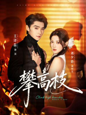 攀高枝（70集）免费的短剧资源汇总