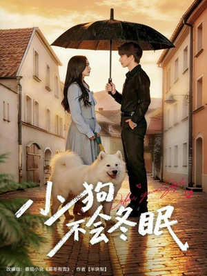 小狗不会冬眠（70集）短剧熬夜也想看完的短剧