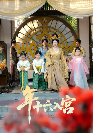 年十六入宫（34集）热播短剧抢先看后续