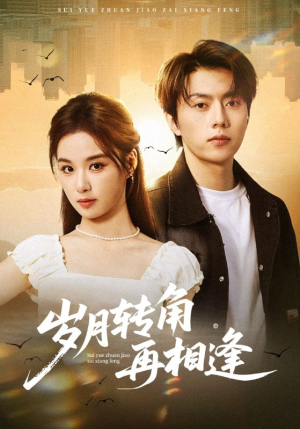 岁月转角再相逢（80集）短剧也太好看了