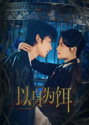 以身为饵（61集）每晚准时更新分享