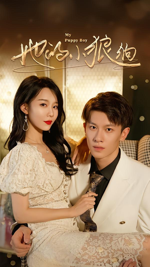 灿烂的风（60集）精彩短剧天天看超级热播短剧