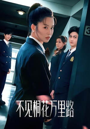 不见桐花万里路（71集）短剧分享好剧推荐