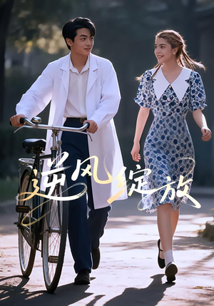 逆风绽放（55集）好看的短剧太好看了