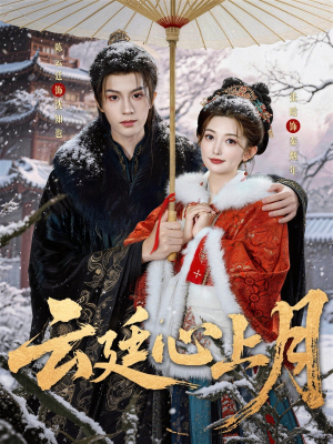 云廷心上月（80集）精彩短剧免费看