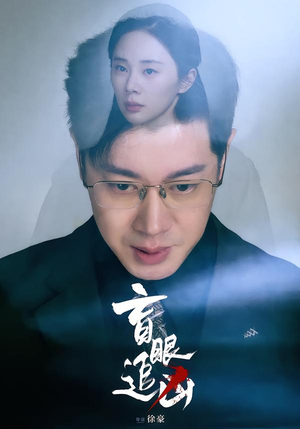 盲眼追凶（60集）短剧演员排行榜