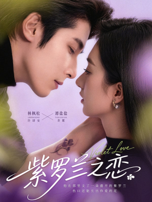 紫罗兰之恋（82集）短剧完整版免费