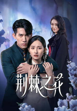 荆棘之花（100集）短剧上头又好看