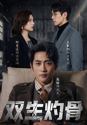 双生灼骨（60集）免费短剧在线看全集