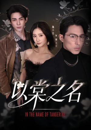 以棠之名（66集）穿越短剧免费看全集