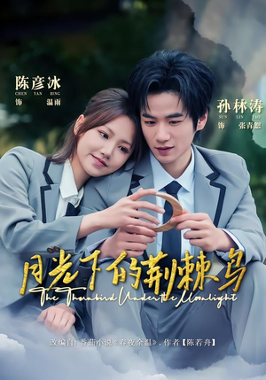 月光下的荆棘鸟（80集）不用花钱看全剧的短剧平台