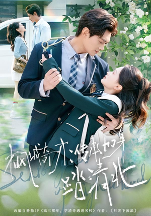 枫城奇才：传承加身踏清北（80集） 省钱短剧免费看个够