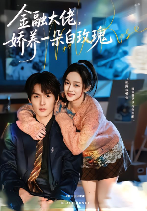 金融大佬，娇养一朵白玫瑰（70集）在线免费看最新短剧
