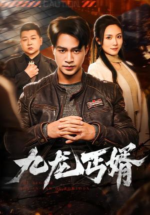 九龙丐婿（81集）红果短剧免费看剧app