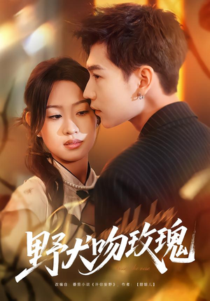 野犬吻玫瑰（70集）精彩古装短剧推荐