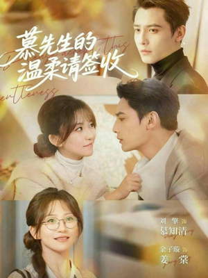 慕先生的温柔请签收（90集）短剧分享好剧推荐