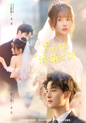 黑天鹅诱捕法册（80集）短剧全集无删完整版