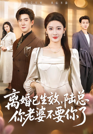 离婚已生效，陆总你老婆不要你了（61集）每日坚持分享短剧