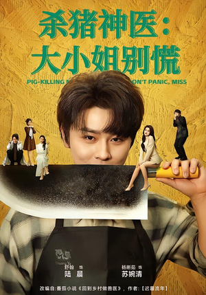 杀猪神医，大小姐别慌（80集）热门短剧推荐每晚准时更新