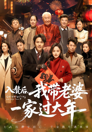 入赘后，我带老婆一家过大年（60集）在线看到短剧大结局